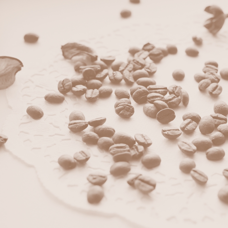 Cacao ritueel: foto-credits pexels-елена-черных-68781