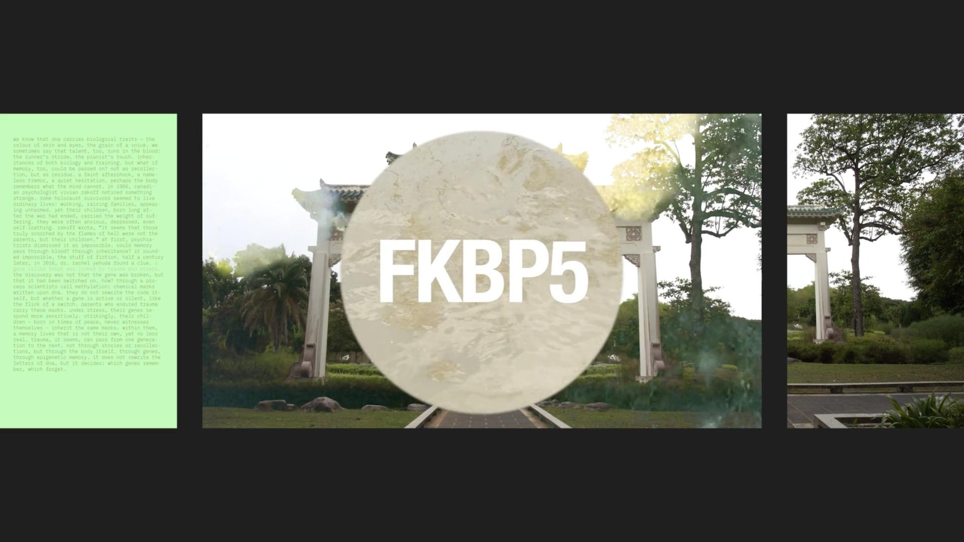 FKBP5 over the Nanyang arch