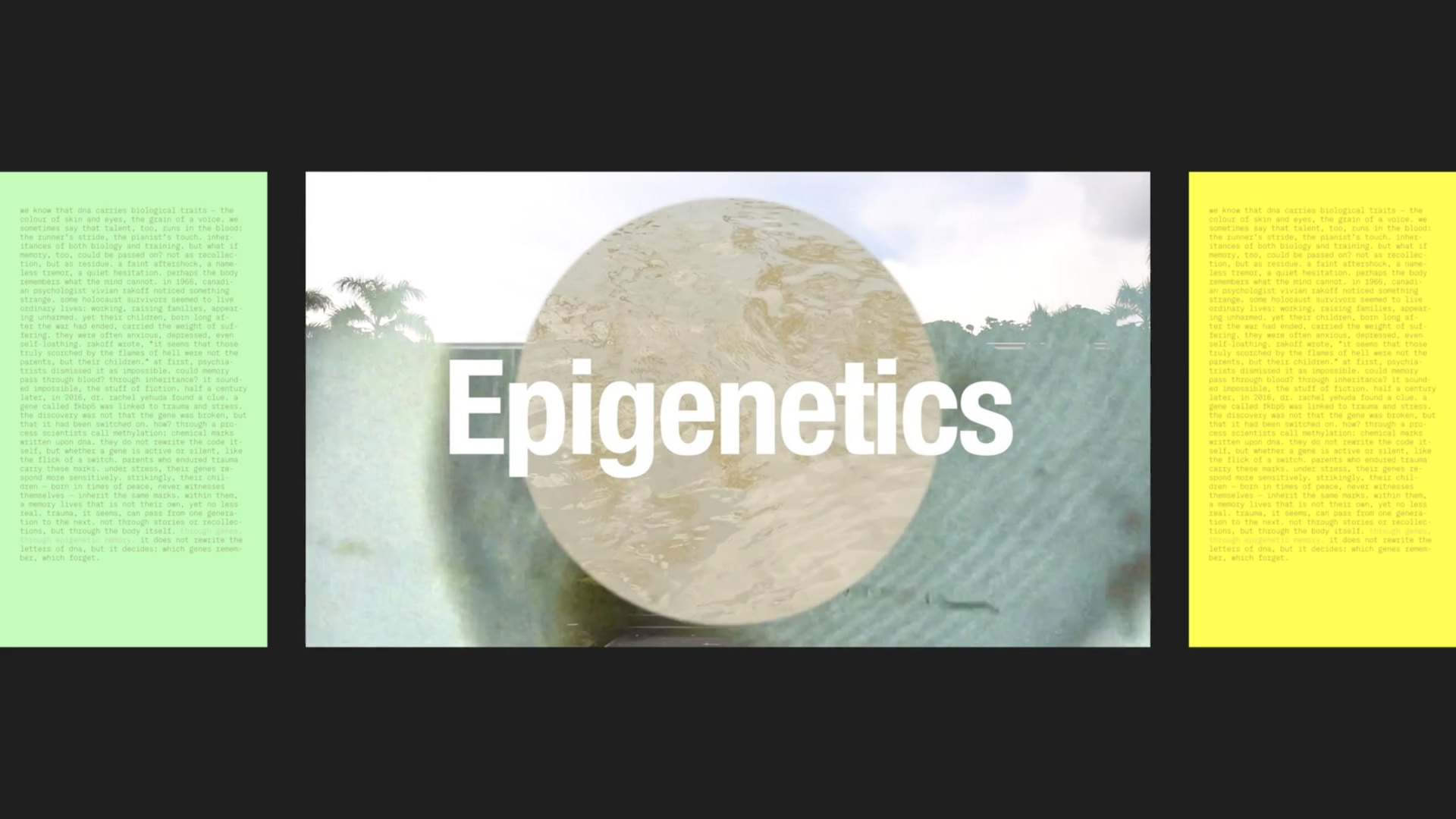 Epigenetics over the landscape
