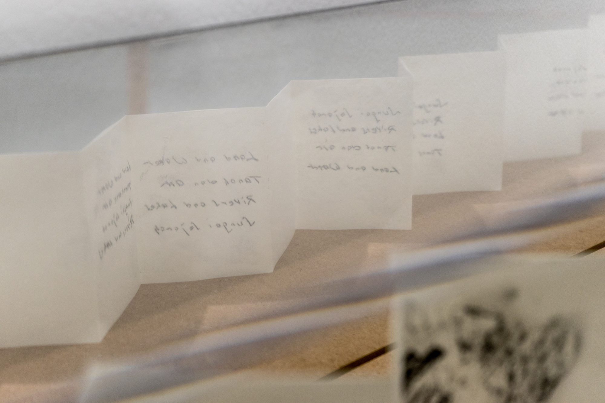 Close-up of the accordion book's folded pages with handwritten lines