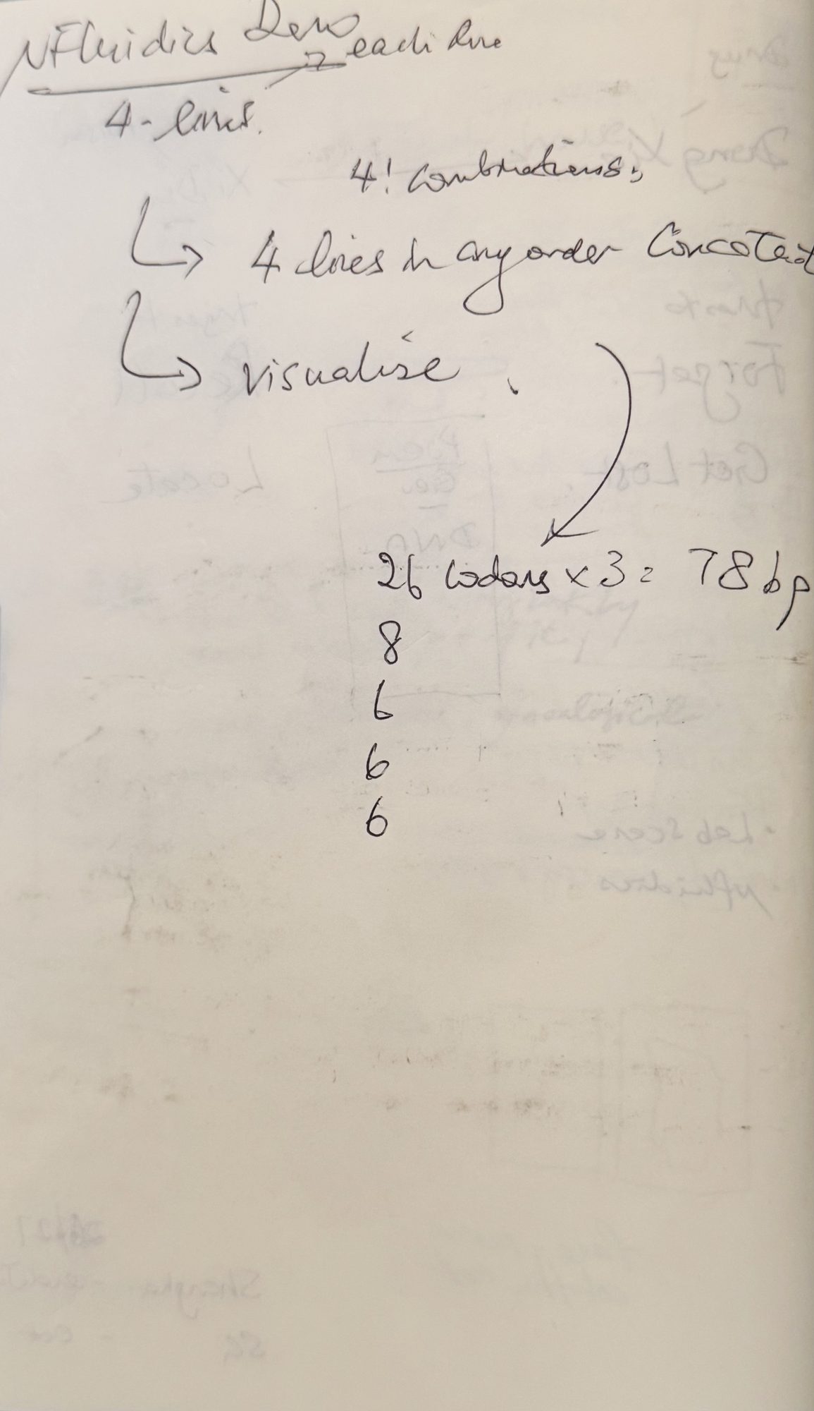 A second page of handwritten notes on the four lines: 4! combinations, the lines concatenated in any order and visualised, codons adding up to 78 base pairs
