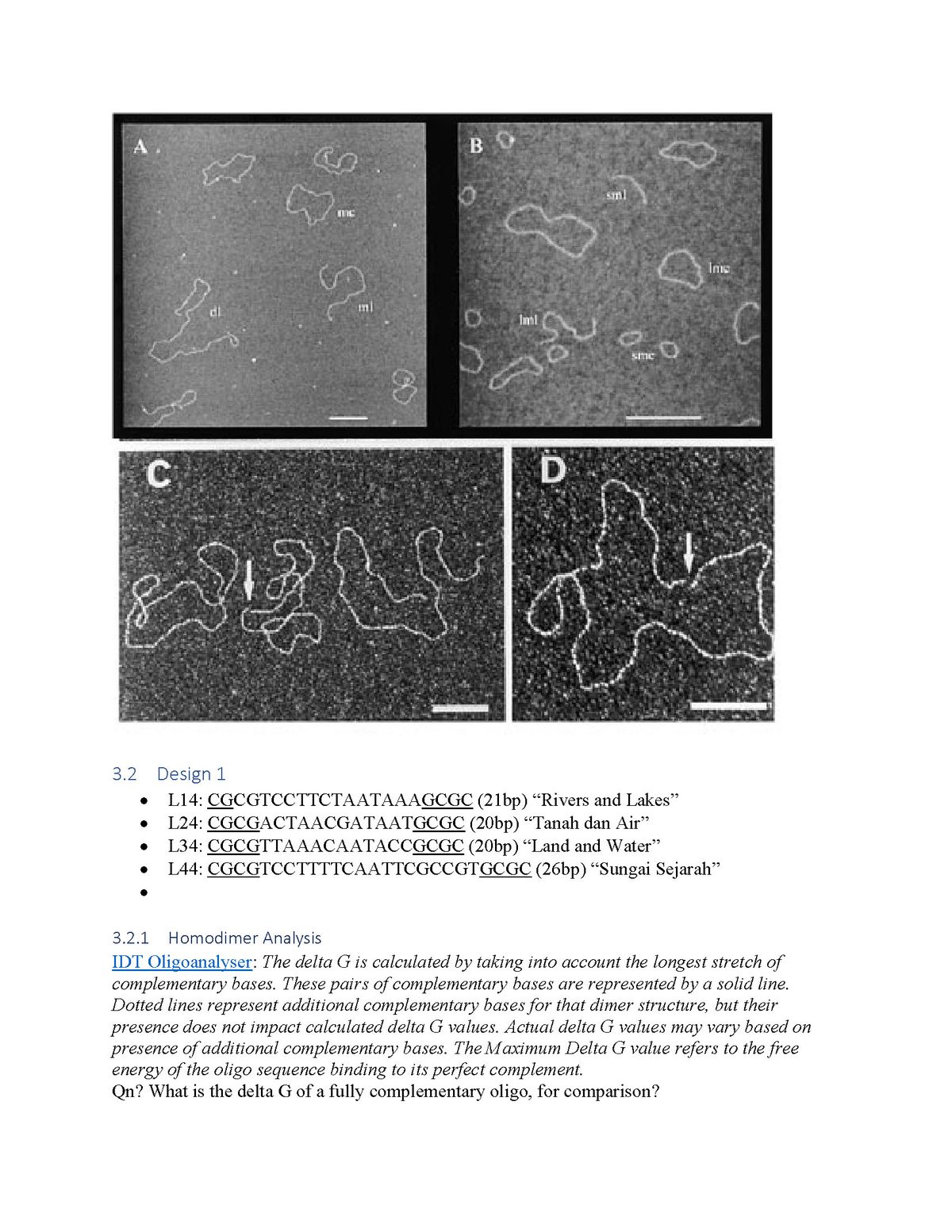 Lab notes: electron micrographs of DNA loops, and the four lines of the poem designed as DNA sequences with a homodimer analysis