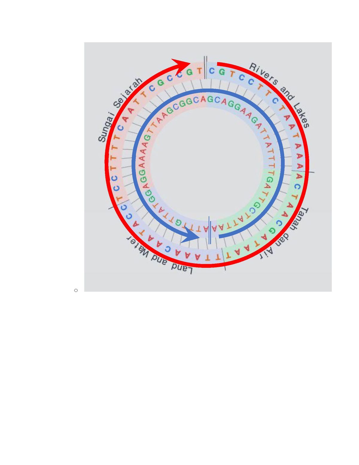 A circular diagram of the four lines encoded as DNA, Rivers and Lakes, Tanah dan Air, Land and Water and Sungai Sejarah, with red and blue strands