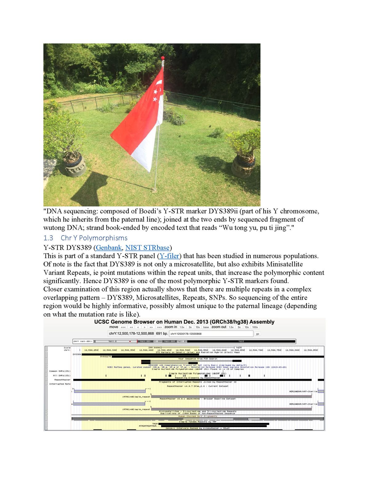 Lab notes on Boedi’s Y-STR marker DYS389, with a photograph of a flag in a garden and a genome browser screenshot