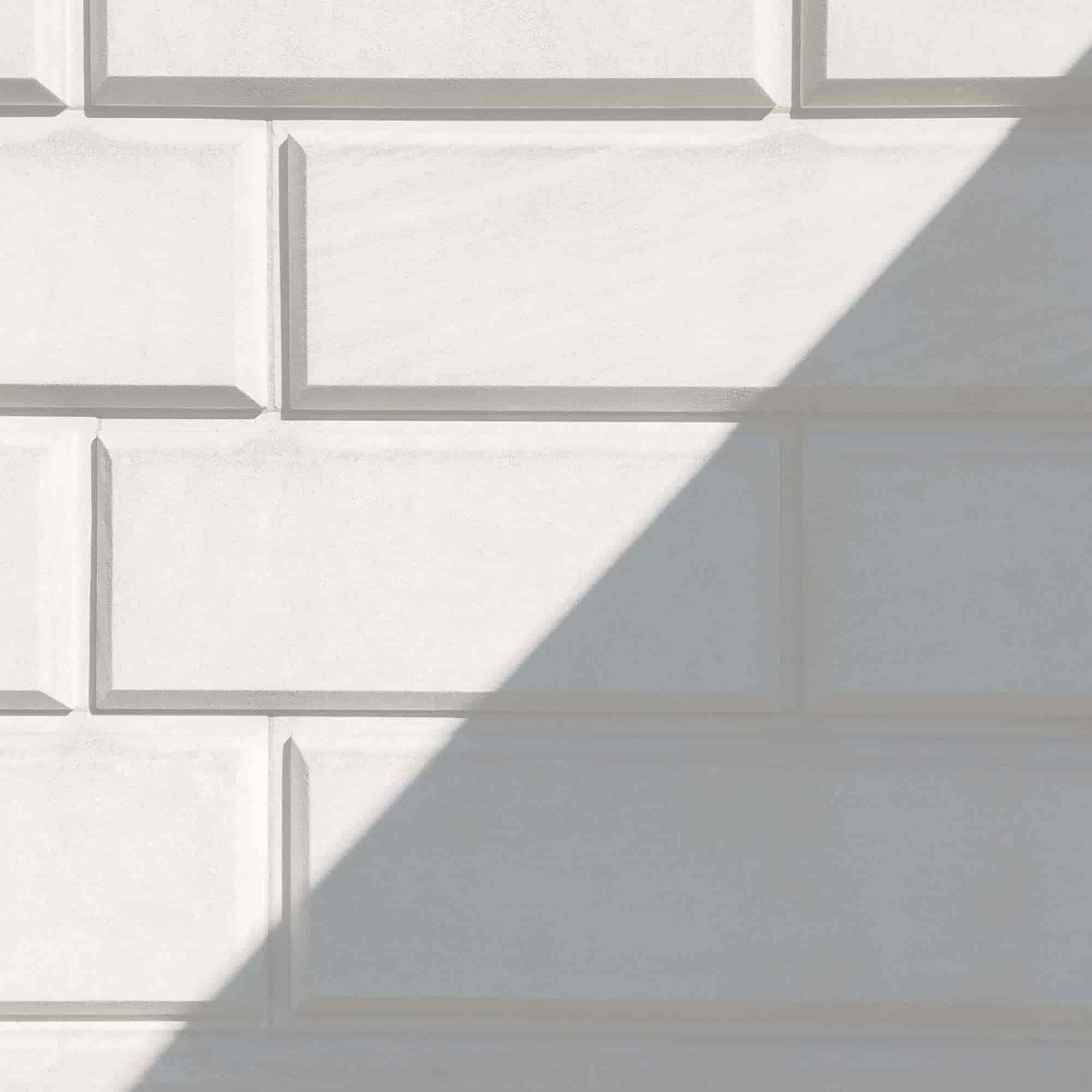 Pellentesque Risus Ridiculus