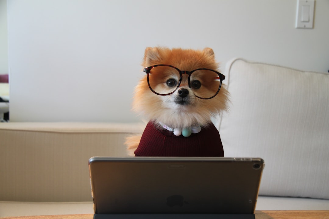 InstaBuilder vs Leadpages