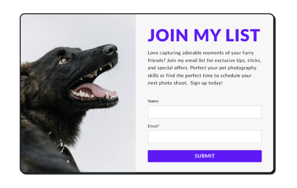 AWeber free landing page builder showing a pet photography email sign-up form with a dog image and fields for name and email.