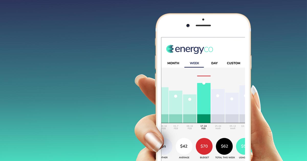 Tally interface screenshot from our landing page builder analysis