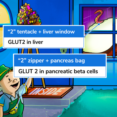 Insulin Blog -2