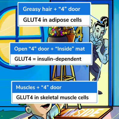 Insulin Blog -3