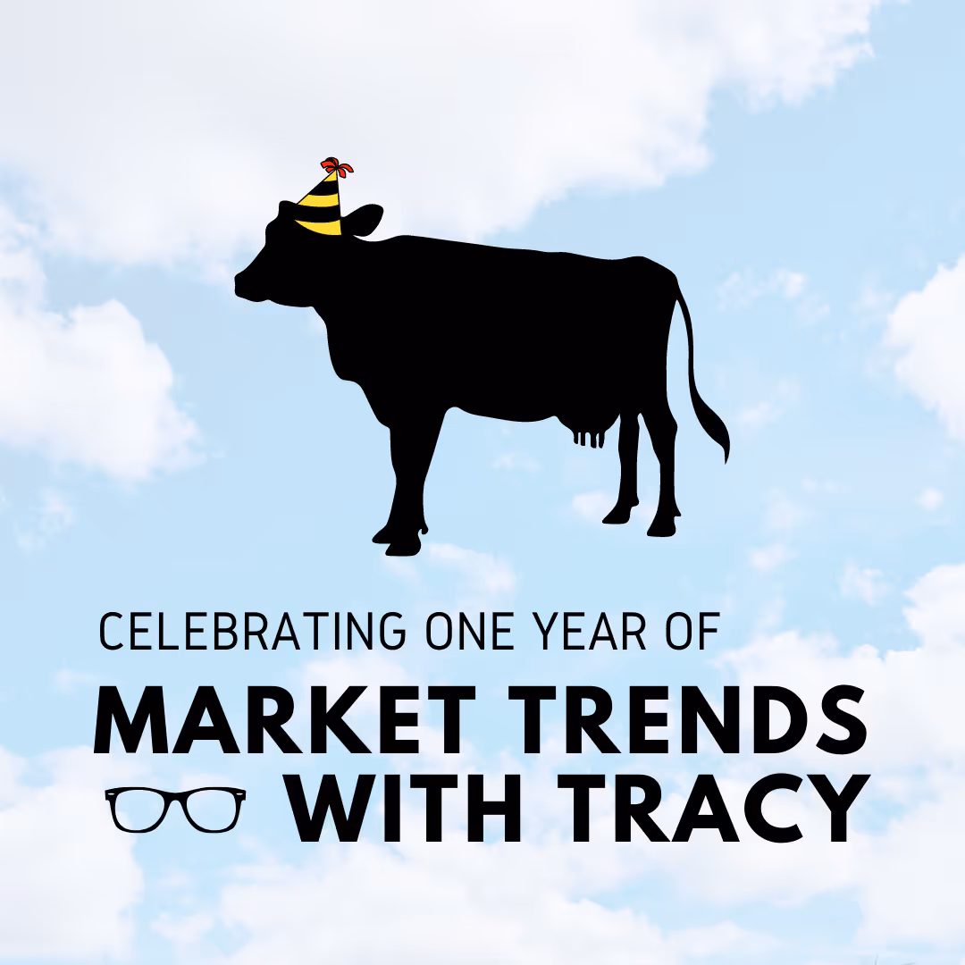 Celebrating 1 Year Of Market Trends With Tracy