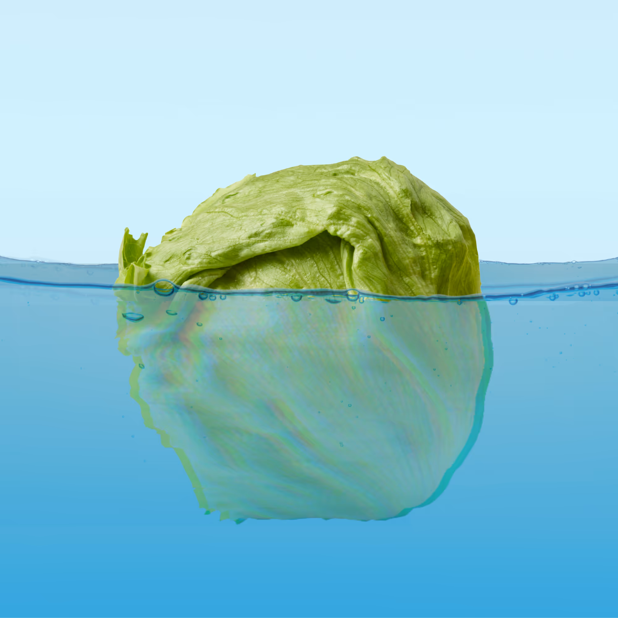 In Defense of Iceberg Lettuce