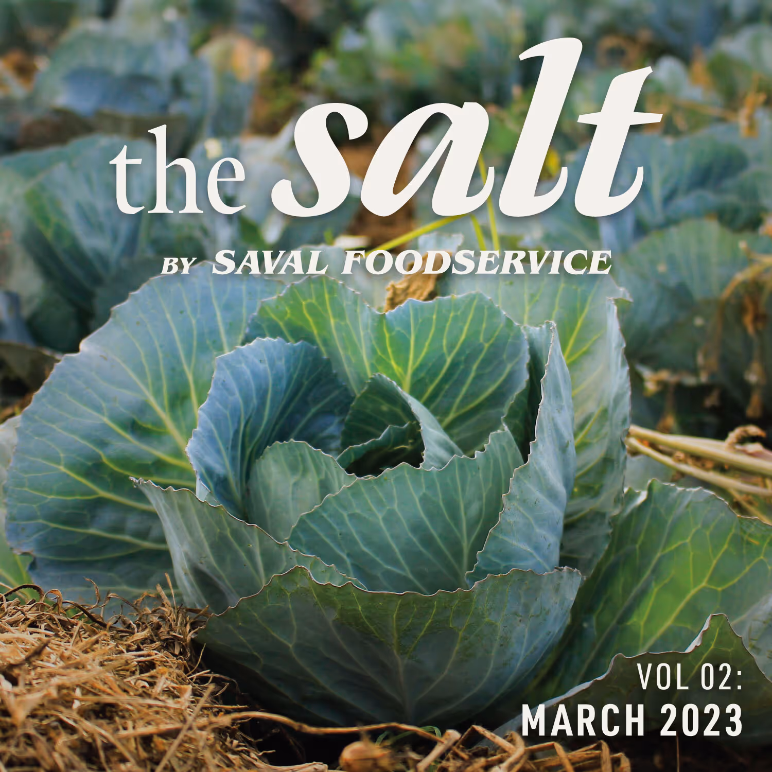 Vol 02: March 2023