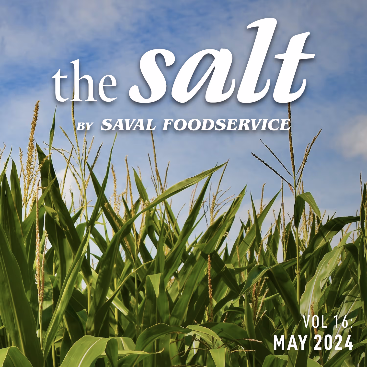 Vol 16: May 2024