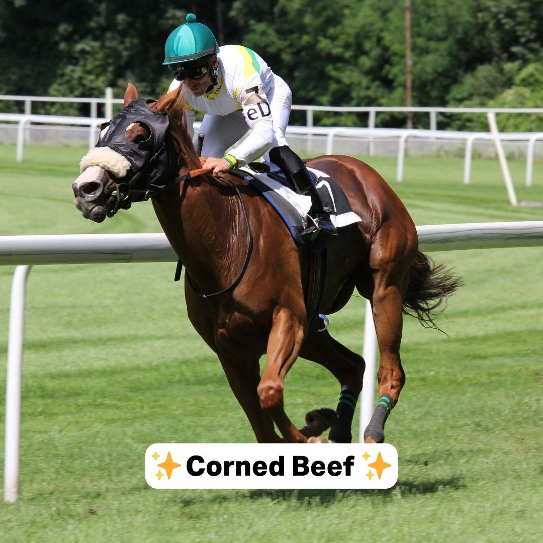 With Preakness happening this weekend, might we suggest some name ideas for next year’s competitors? 🏇
