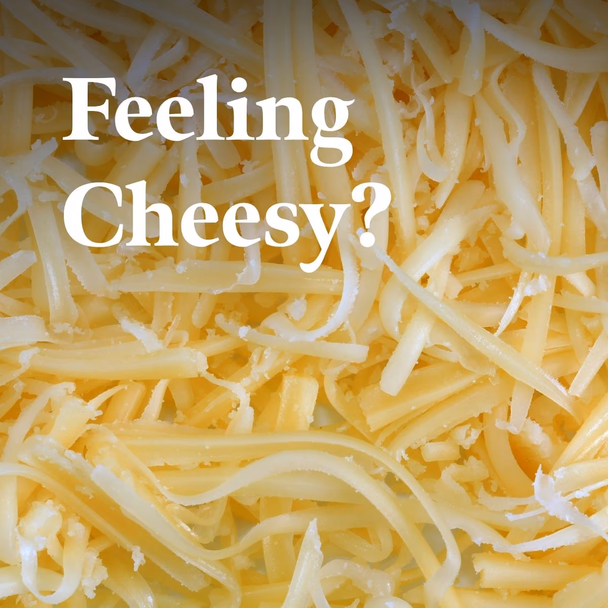 Let’s get cheesy 🧀