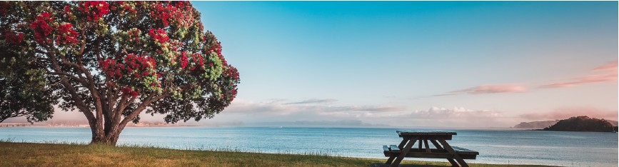 Highgate Partners Summer 2026 Update