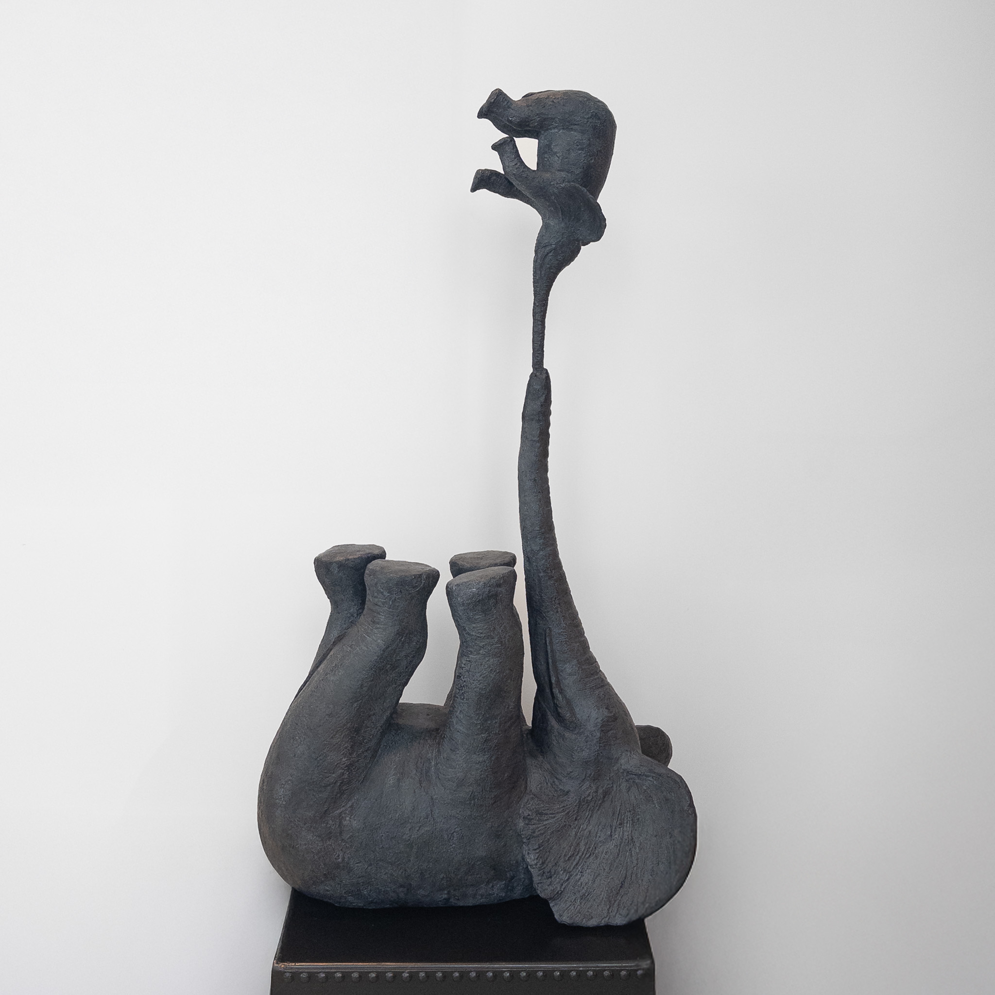 Equilibristes au jardin de Sophie Verger