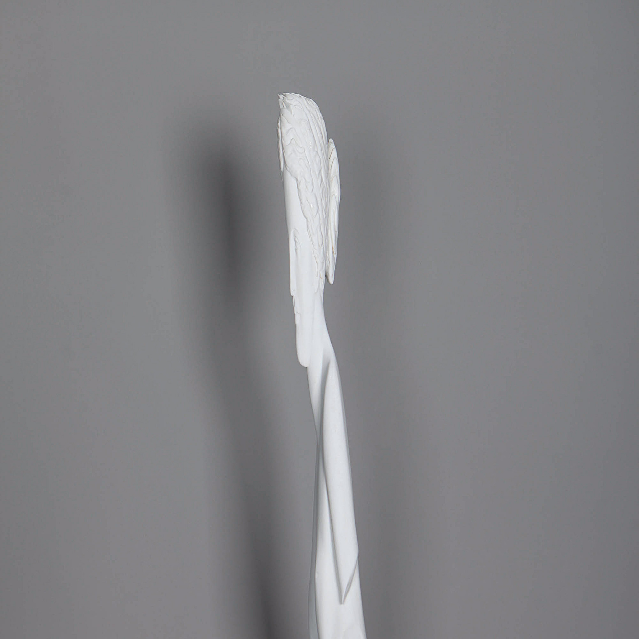 Vénus anamorphose par Léo Caillard 