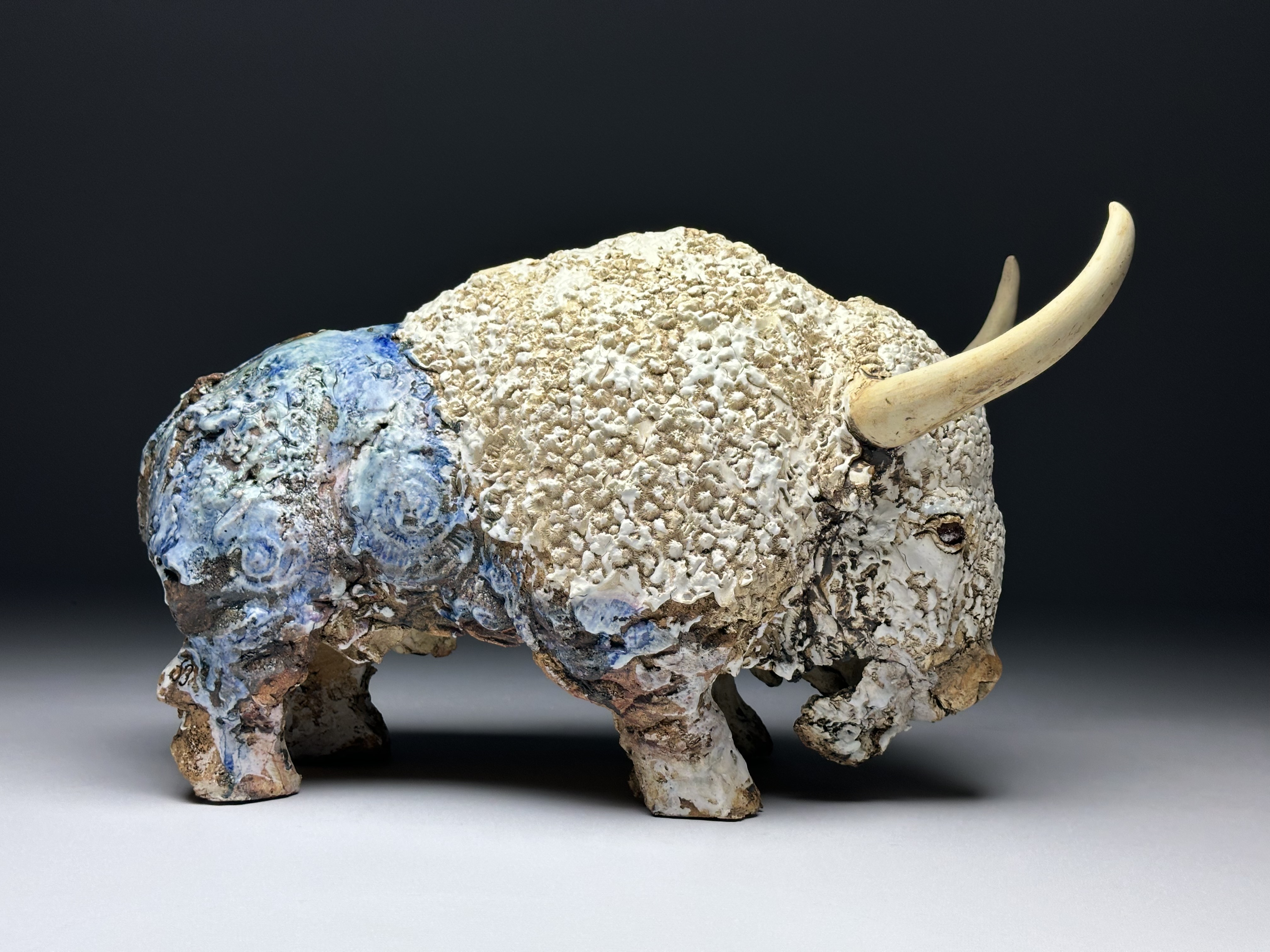Bison de Stelle par Barbara Daeffler 