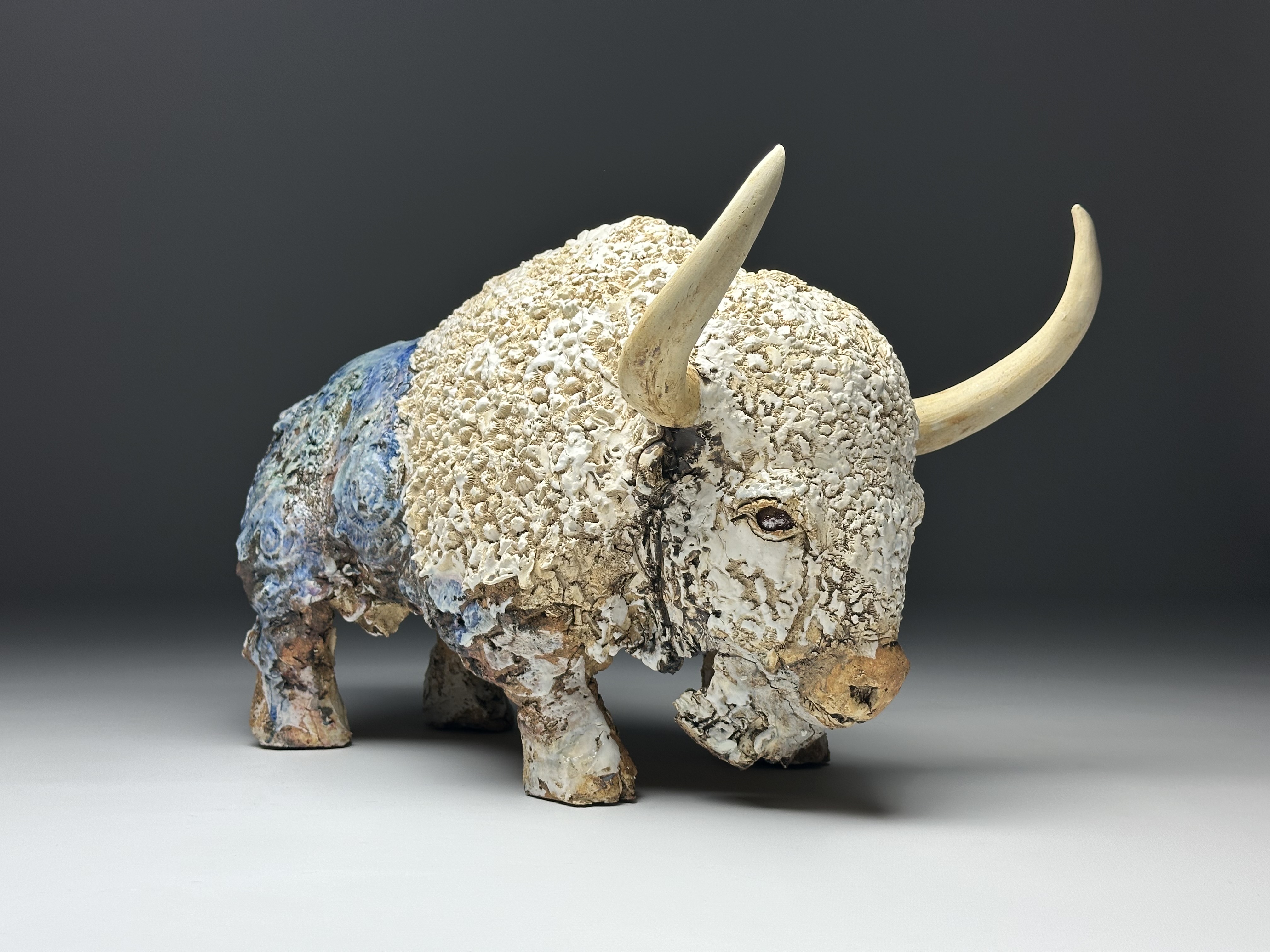 Bison de Stelle par Barbara Daeffler 