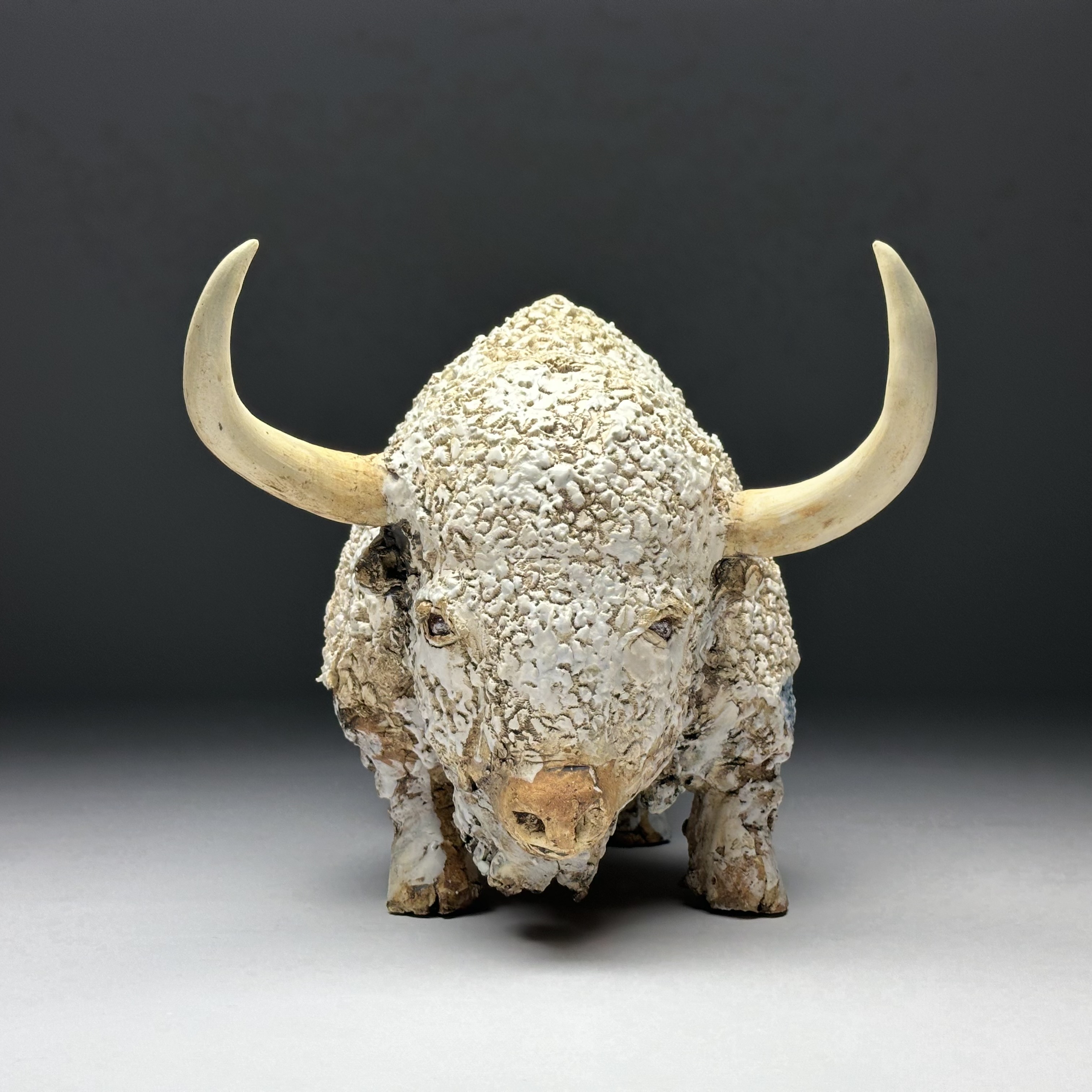 Bison de Stelle par Barbara Daeffler 