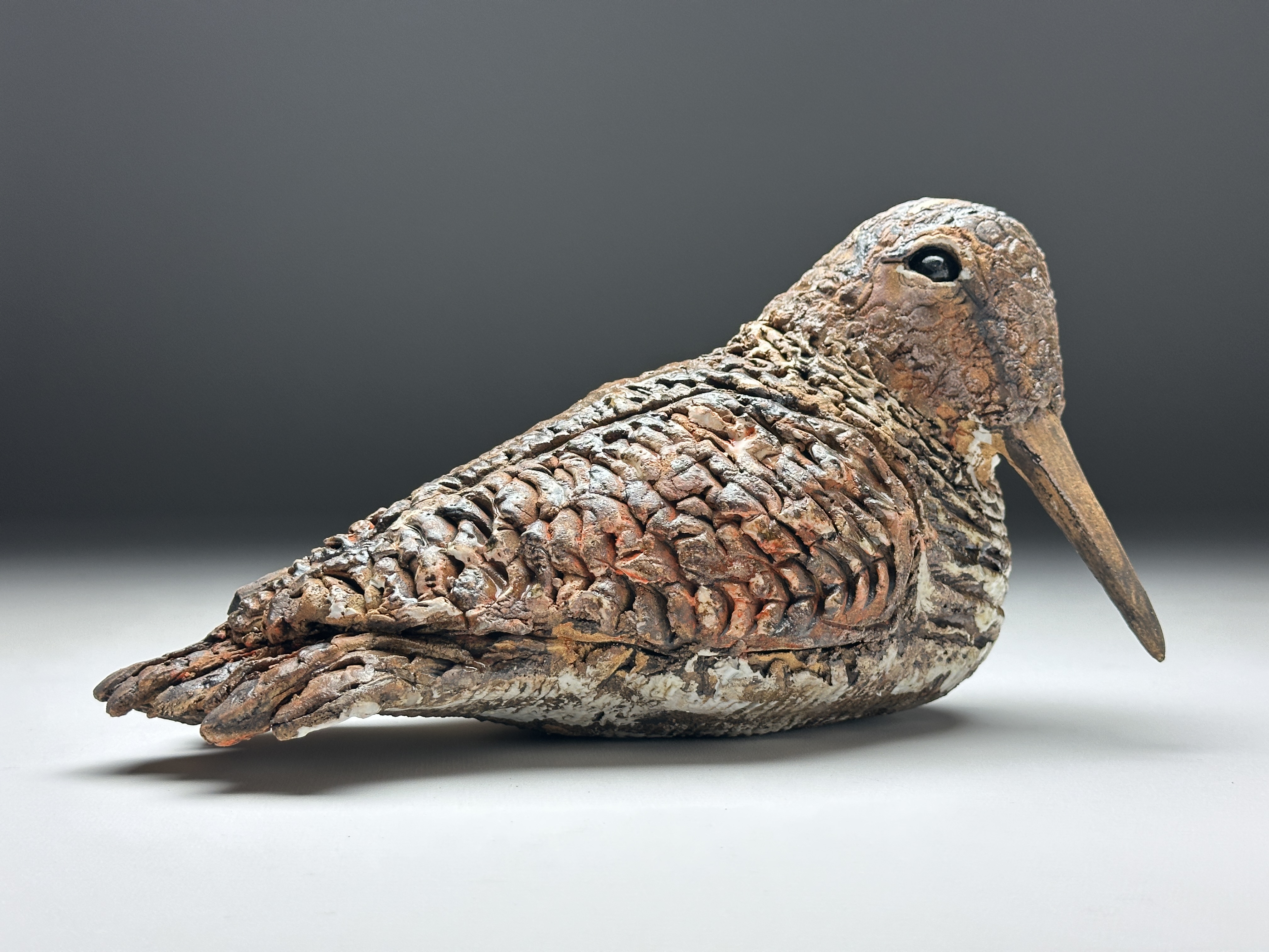 Bécasse par Barbara Daeffler 