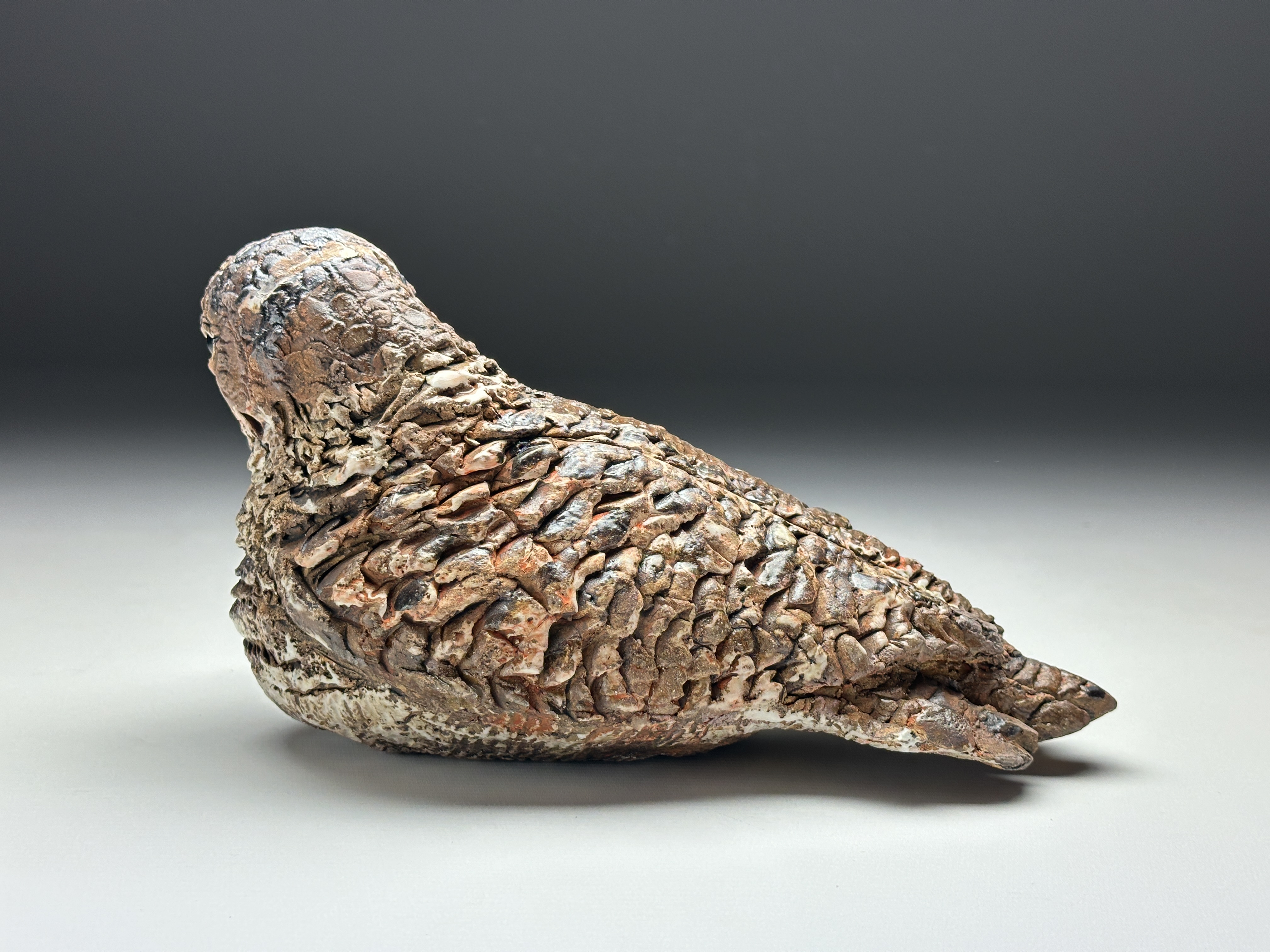 Bécasse par Barbara Daeffler 