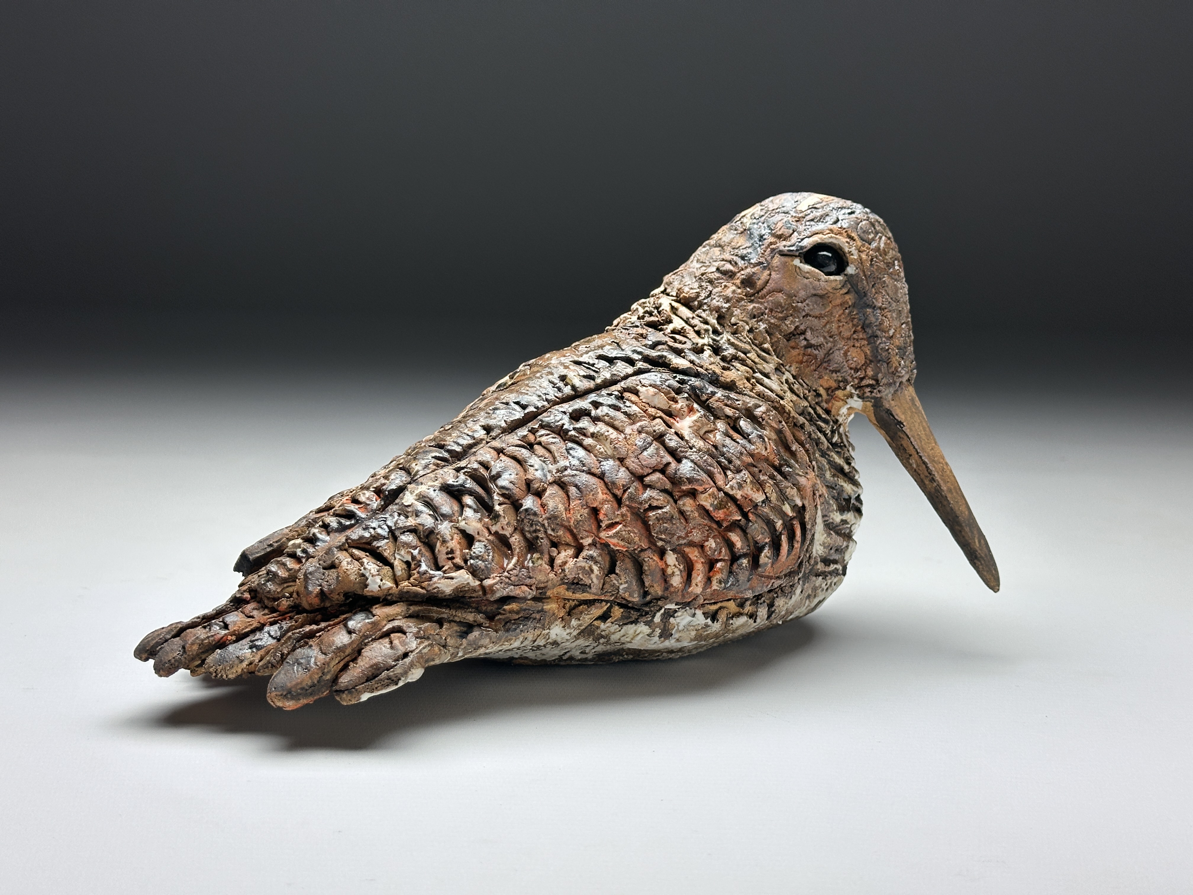 Bécasse par Barbara Daeffler 