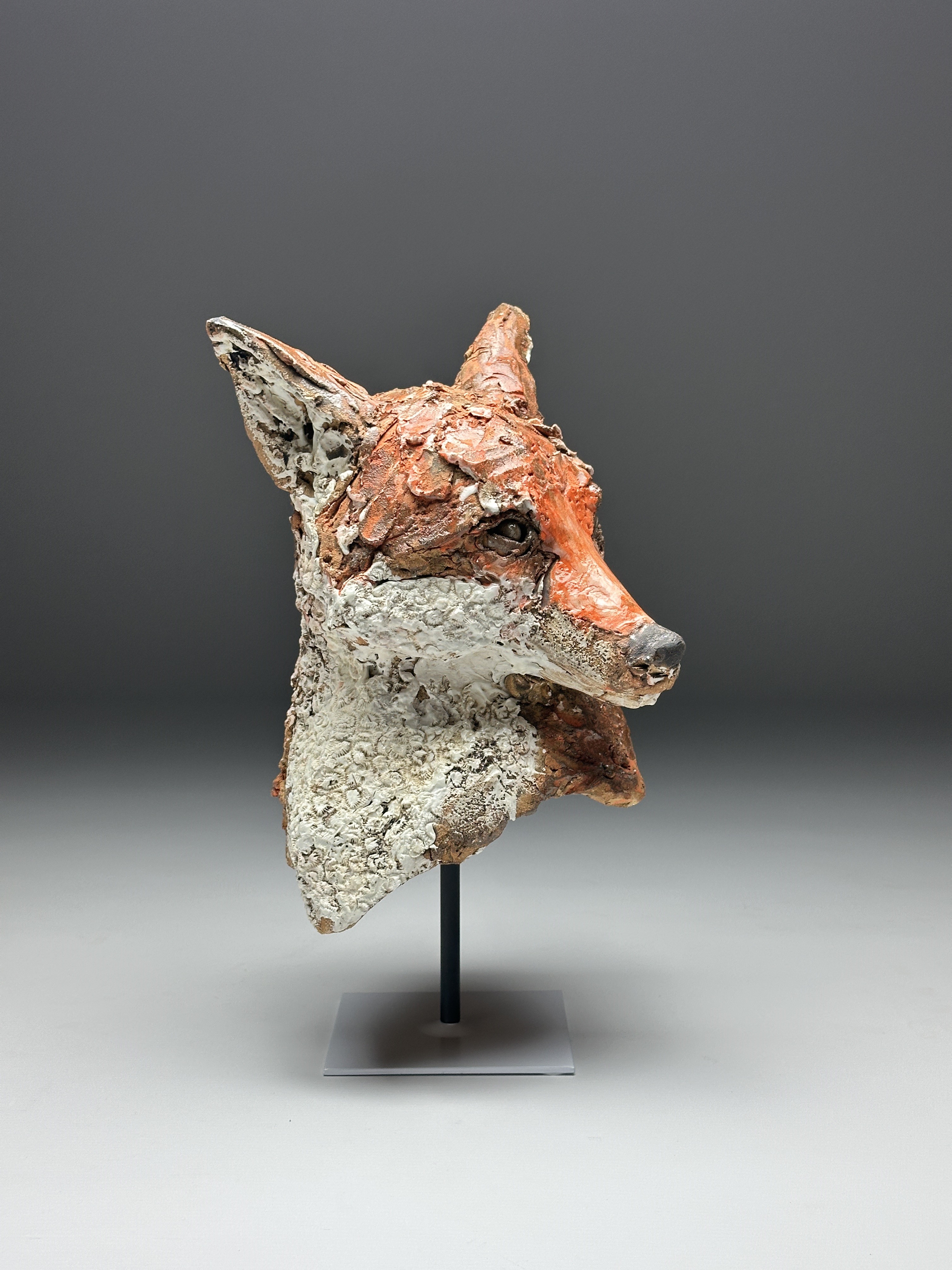 Bécasse par Barbara Daeffler 