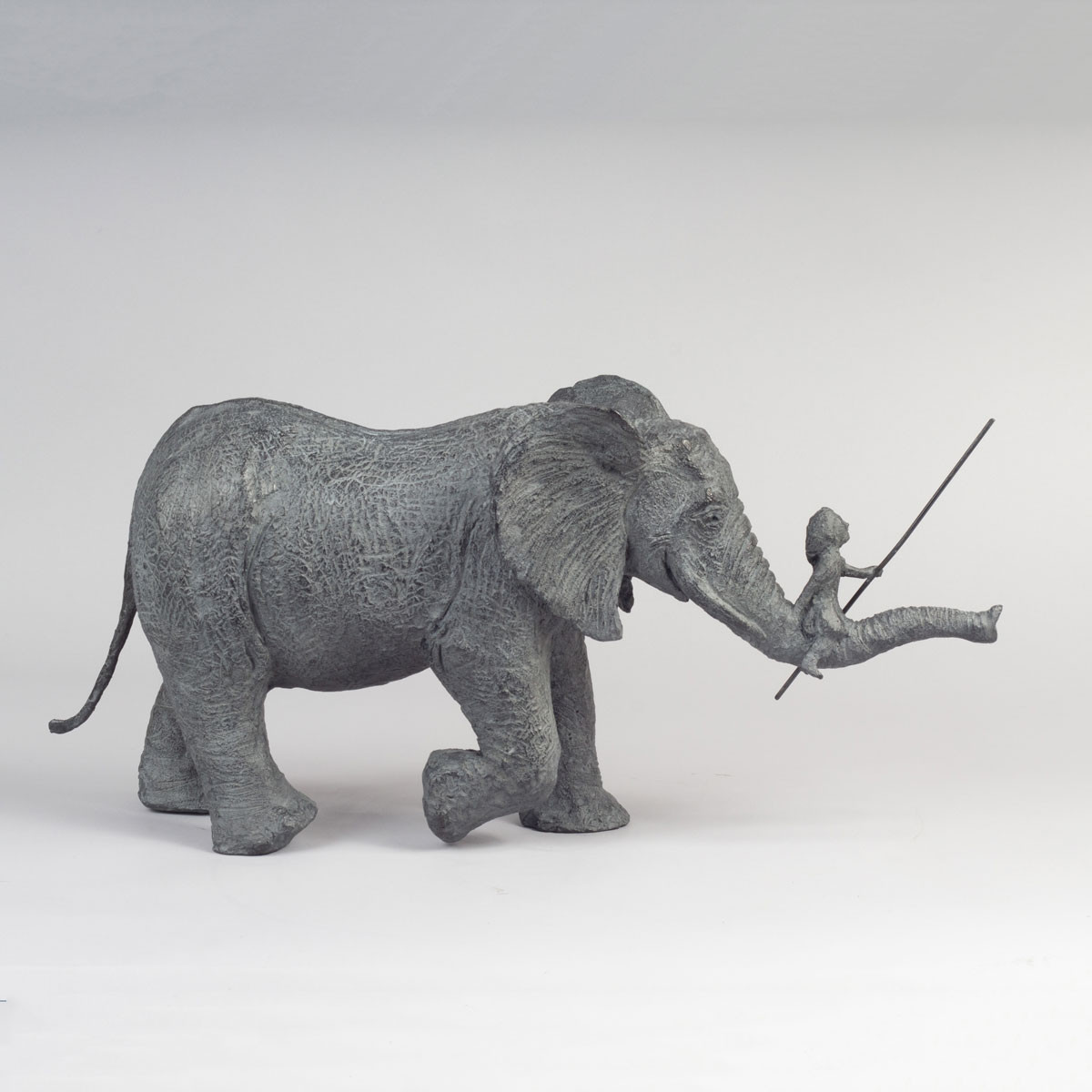 L'aventure de Sophie Verger 