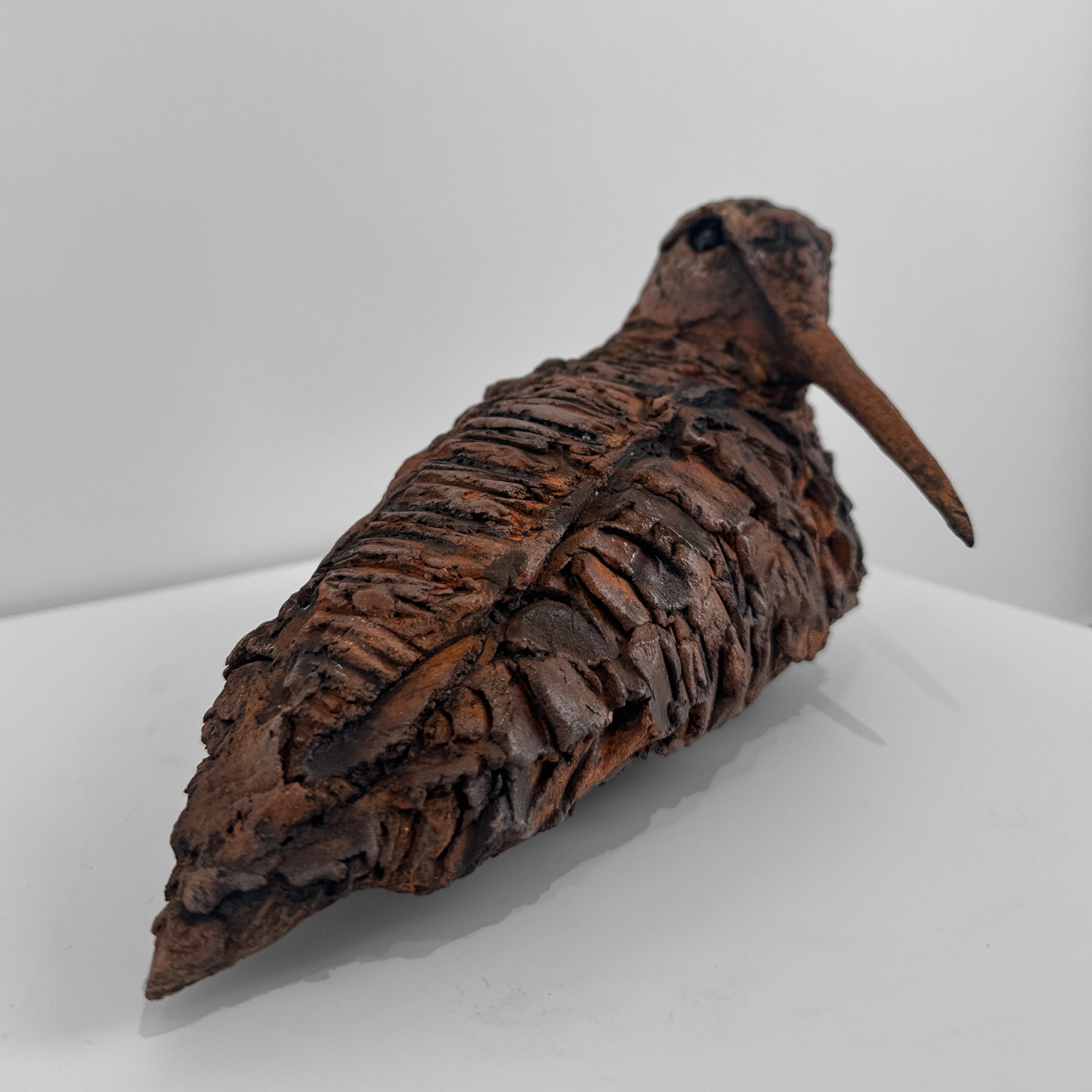 Bécasse par Barbara Daeffler 