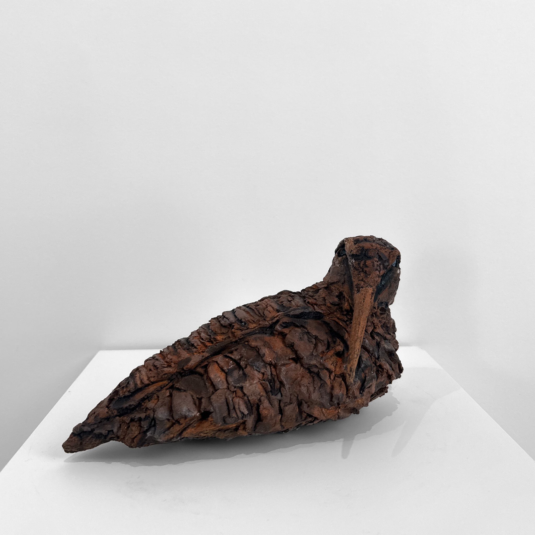 Bécasse par Barbara Daeffler