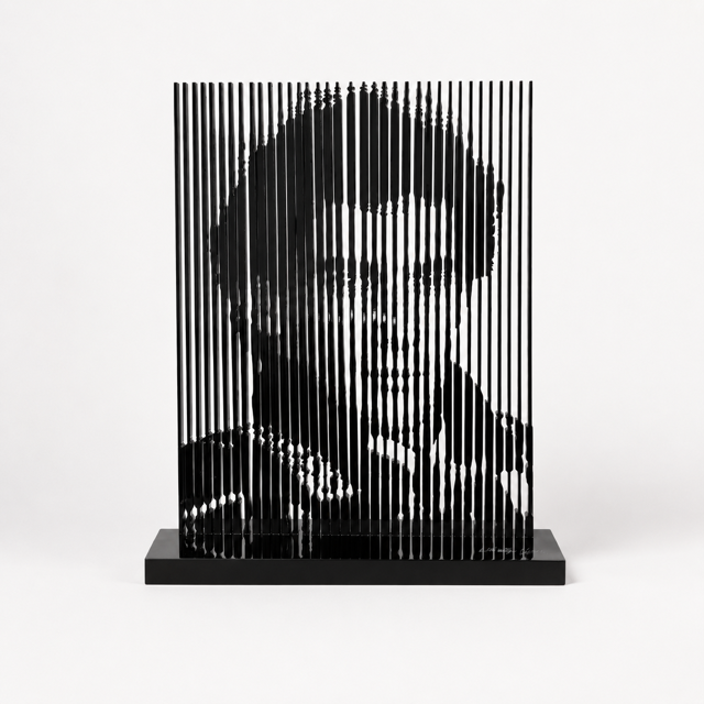 Ayrton Senna par Laurence Nolleau
