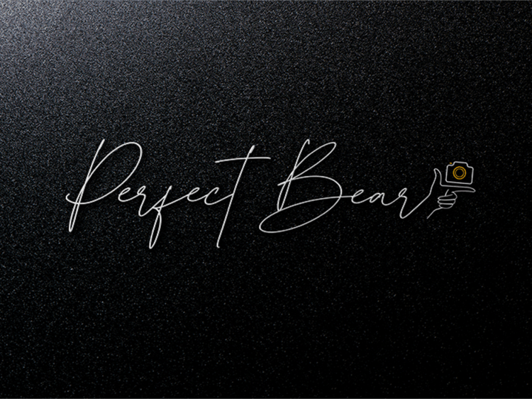 Logo design ideas - A modern photography signature logo and watermark design #2