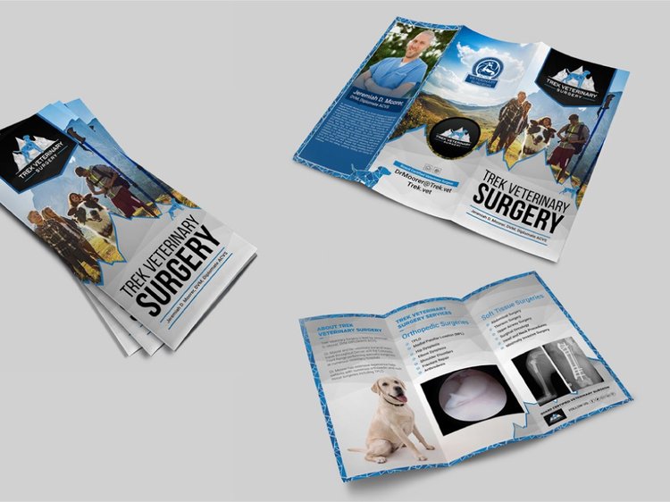 Flyer design ideas - An excellent flyer poster or brochure for your business #5