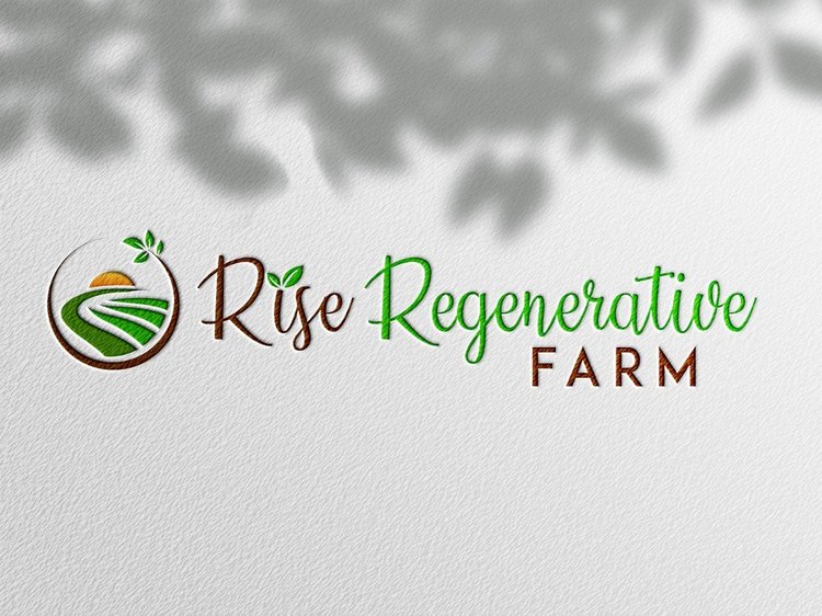 Logo design ideas - #2