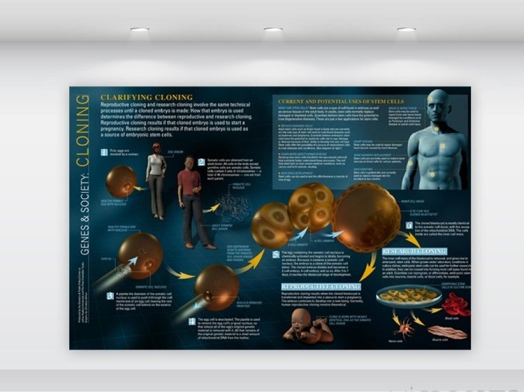Infographic design ideas - Creative infographic for your data #6