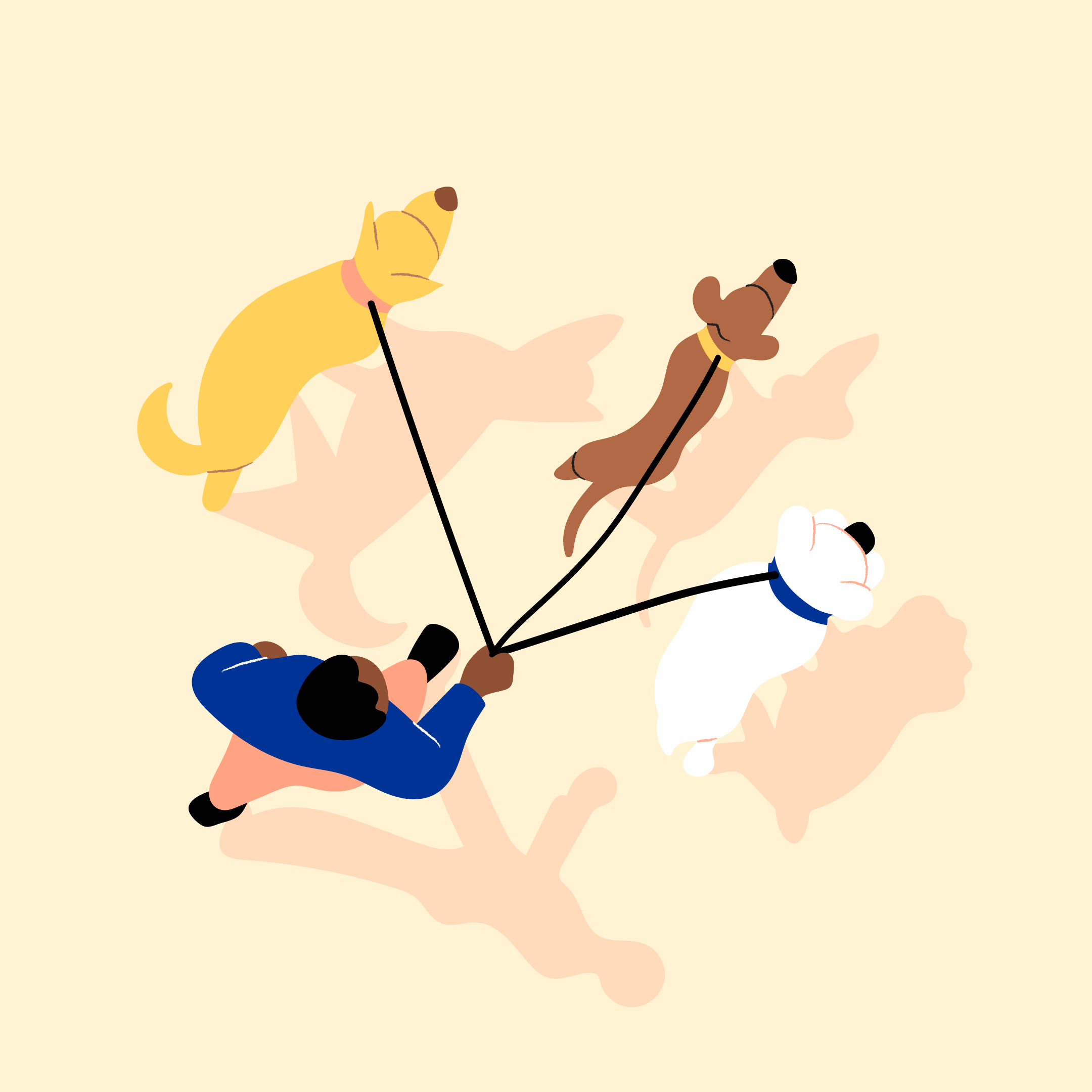 A brand illustration representing the theme of pet insurance, featuring a man walking three different dogs.