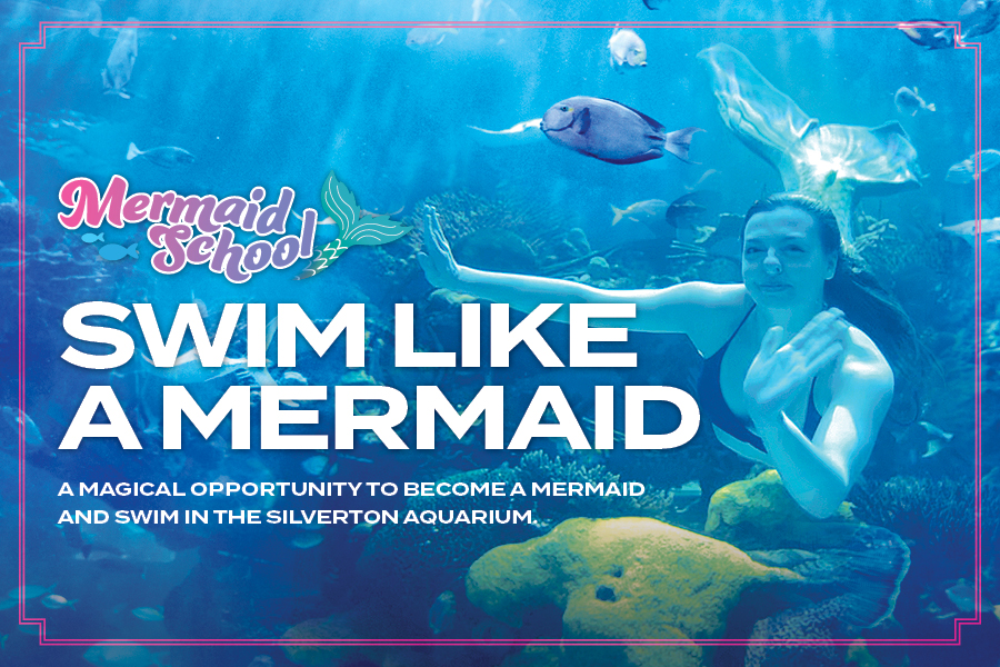 Mermaid School