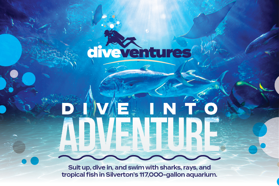 Dive Ventures