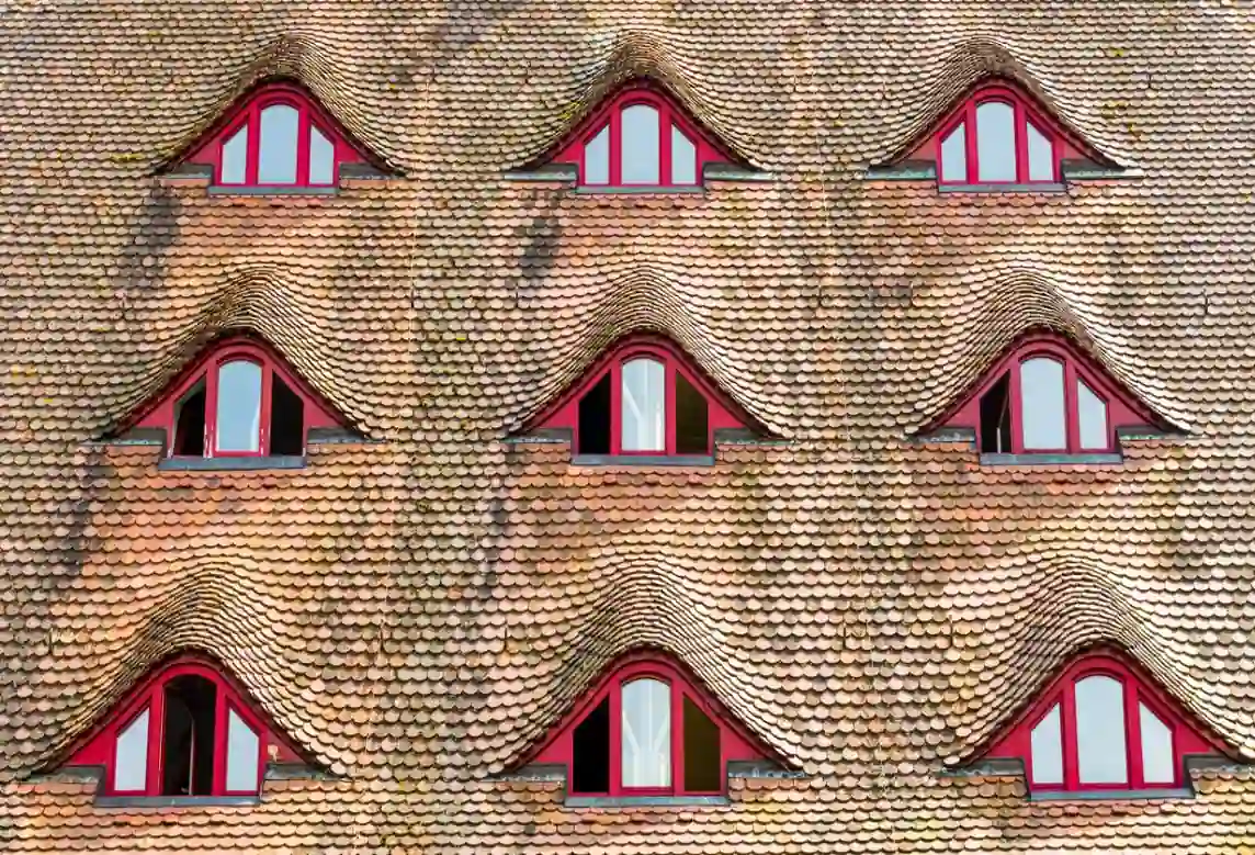 Fledermausgaube