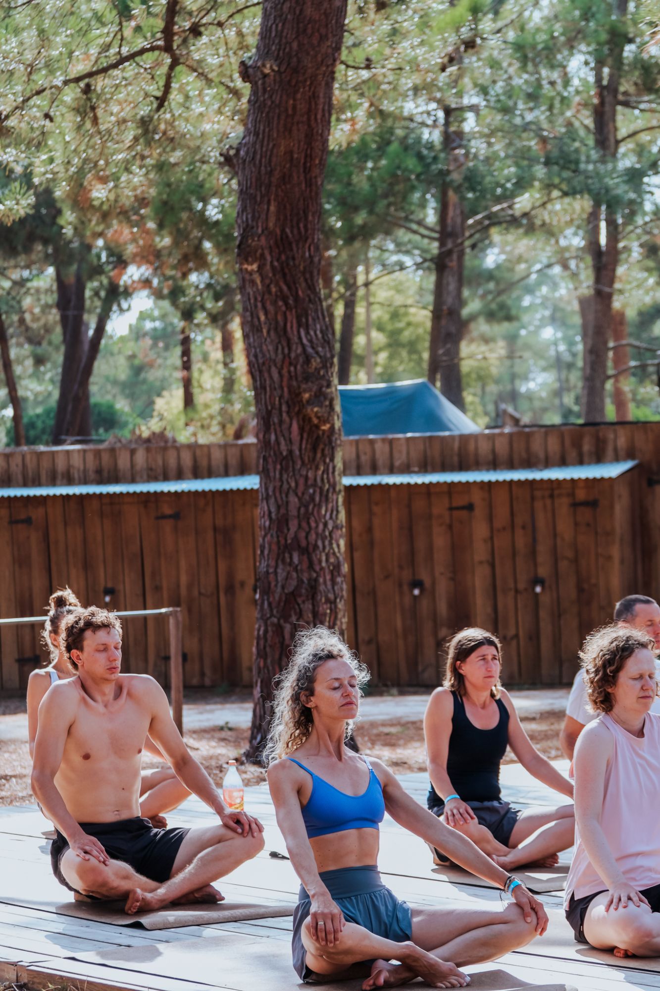 Yoga groep zittend onder de bomen