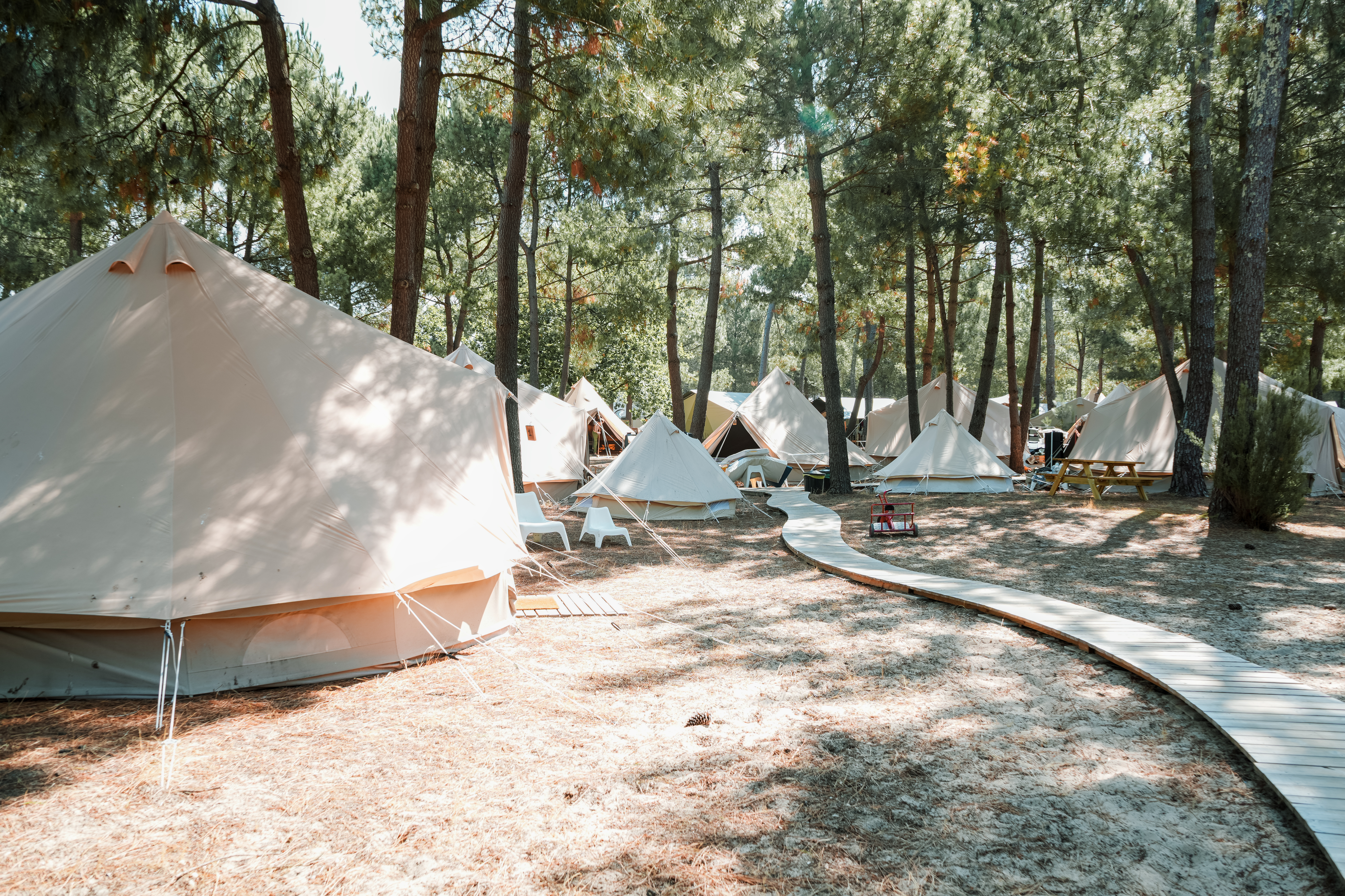 Maxi Monta spot - tenten in het bos