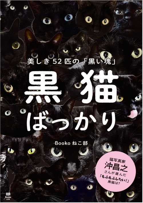 みんなの黒猫写真集『黒猫ばっかり』