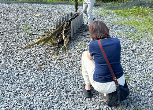 出版 実績なし 自分の本 作りたい セルフパブリッシング