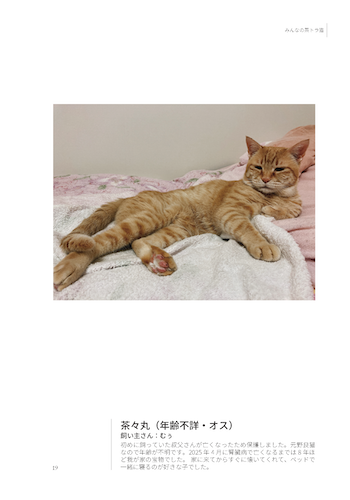 茶々丸 画像2
