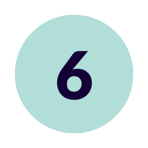 Point 6 Icon