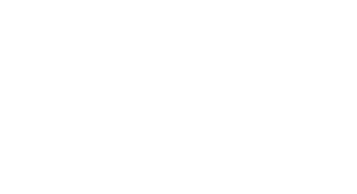 Pinn Digital Logo - White