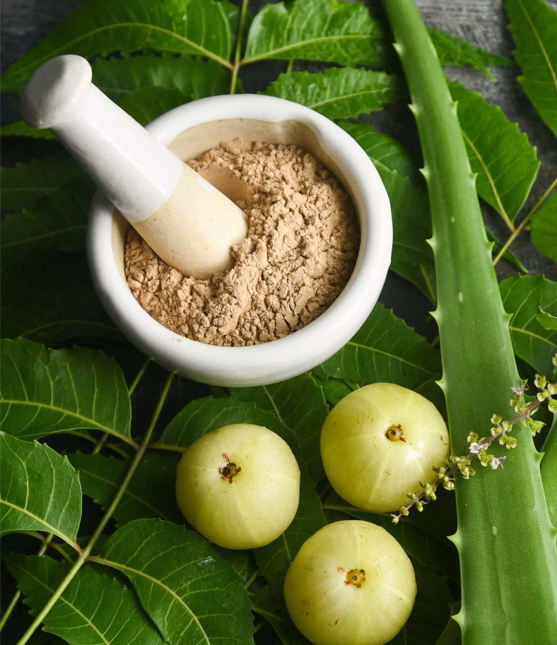 Ayurveda and haircare: an expert take on traditional practices